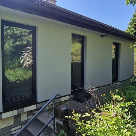 Aurora Daire Škofljica